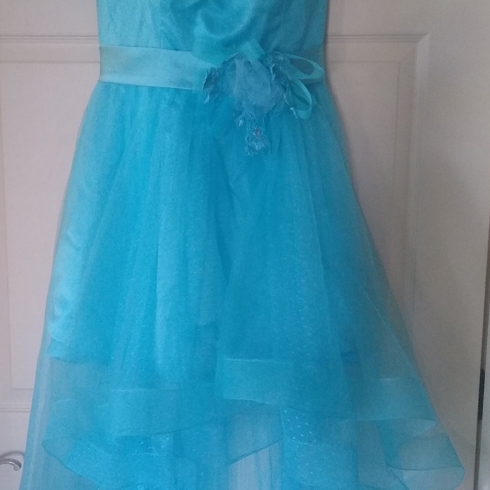 The perfect bridesmaid or prom dress.